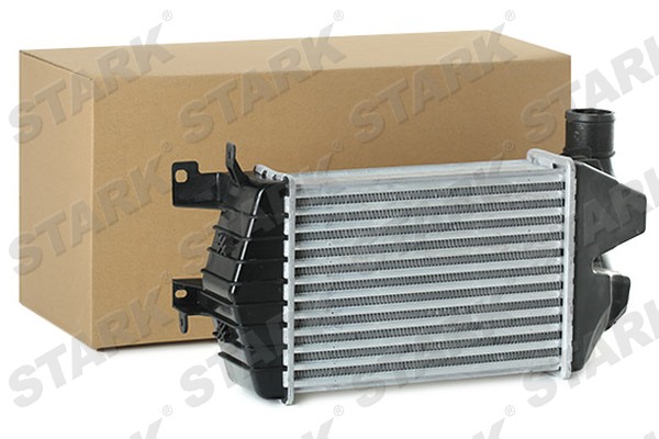 SKICC-0890242