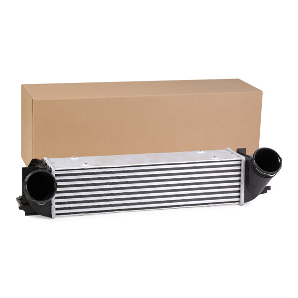 SKICC-0890262