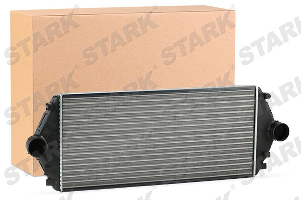 SKICC-0890009