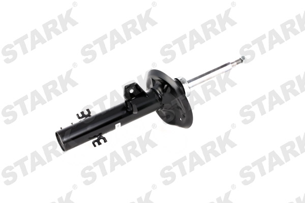 SKSA-0131919