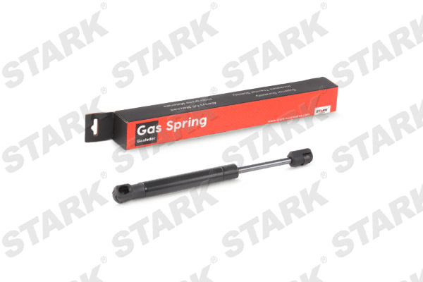 SKGS-0220462