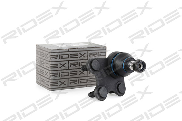 2462S0212