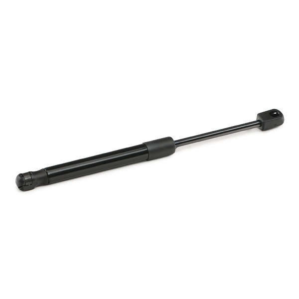 219G1003