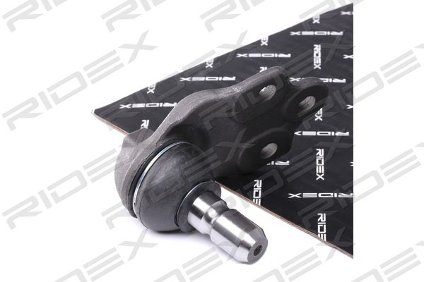 2462S0429