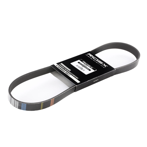 305P0051