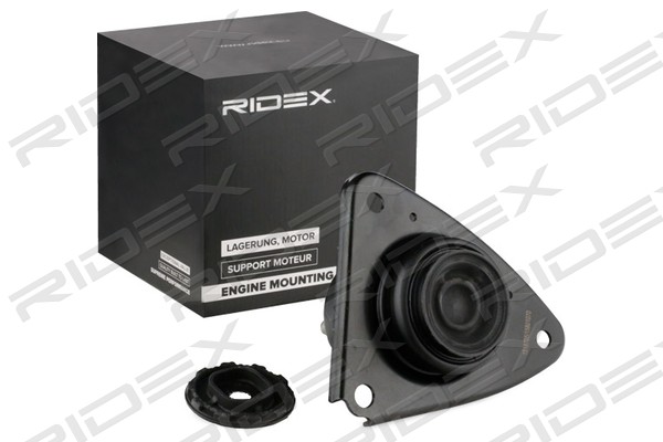 247E0569