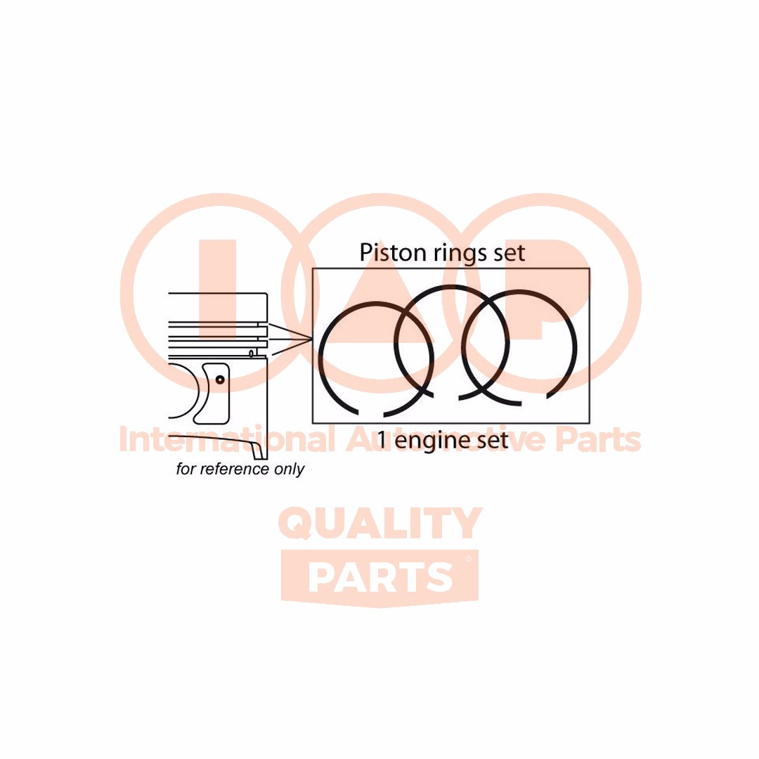 1021204