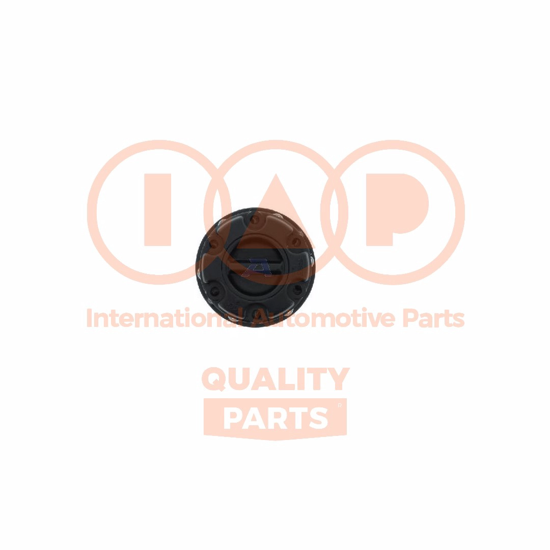43810-60A00