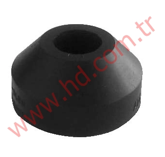 HD 19005