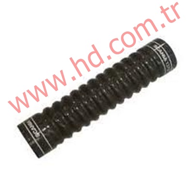 HD 12038