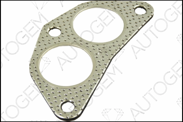 CEG620