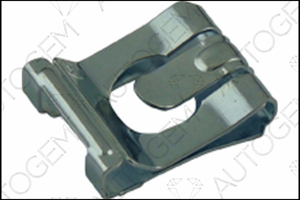CSC750