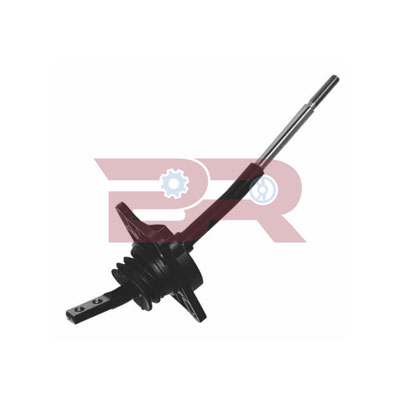 BRC0621