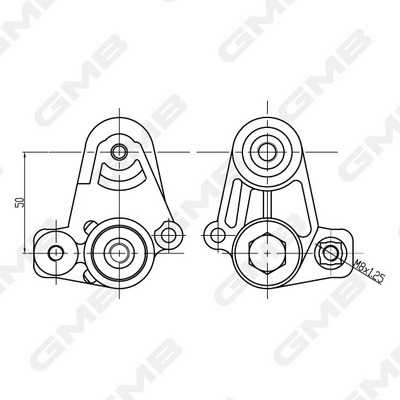 GAT21310