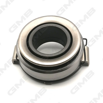 GC06110