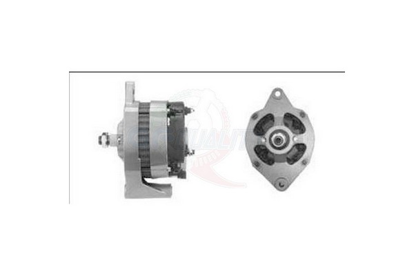 ALGE00572