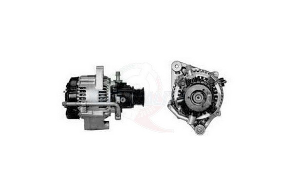 ALGE01154