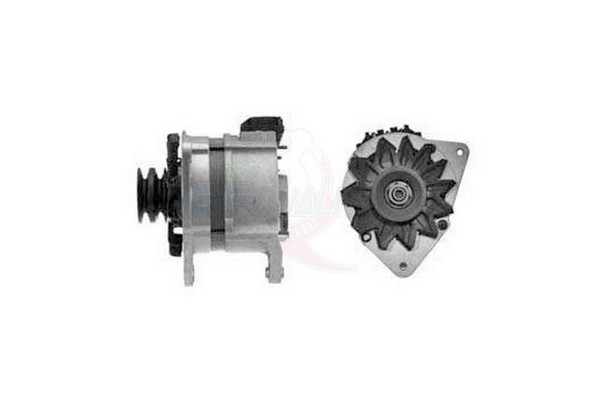 ALGE00299