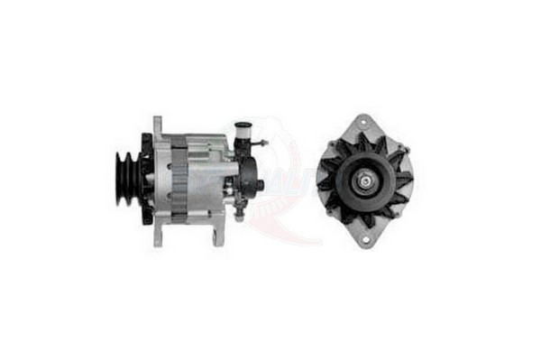 ALGE01275