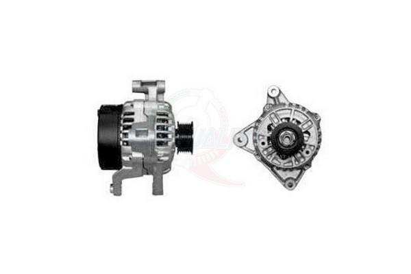 ALGE00338