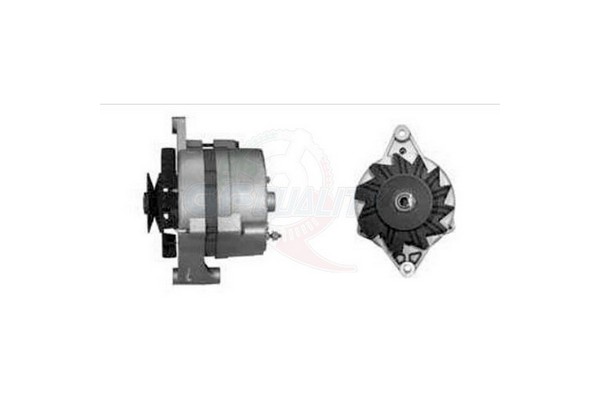 ALGE01077