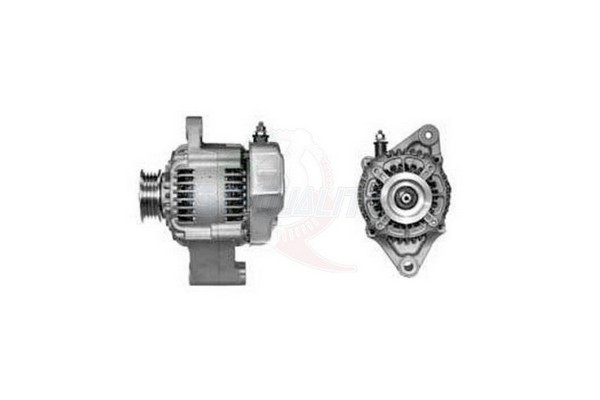 ALGE01409