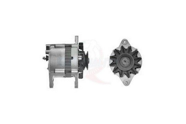 ALGE01259