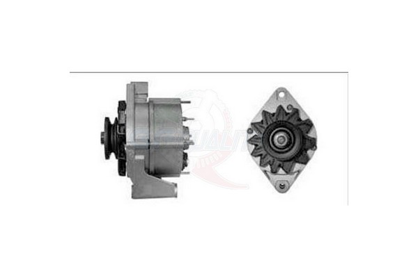 ALIT00046