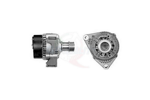 ALGE00237
