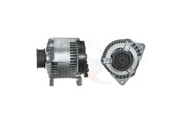 ALGE01054
