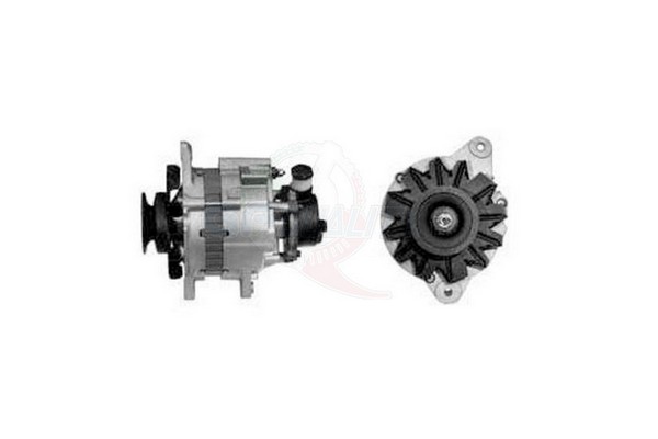 ALGE01266