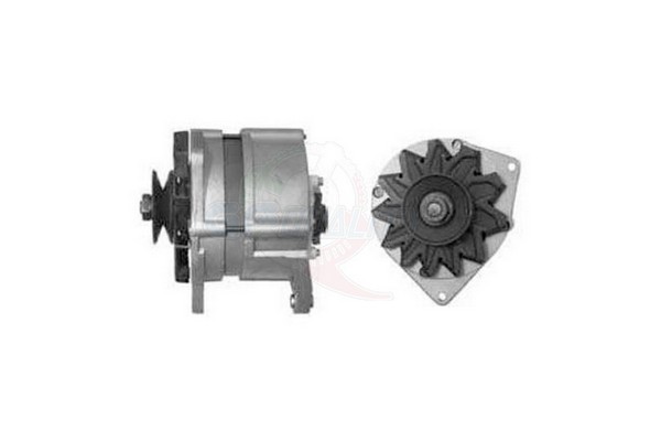 ALGE01075