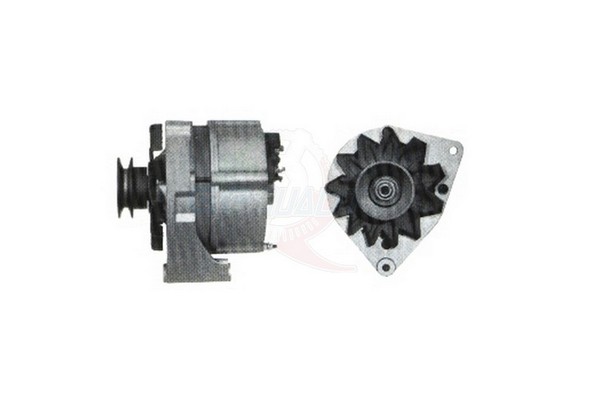 ALGE01066
