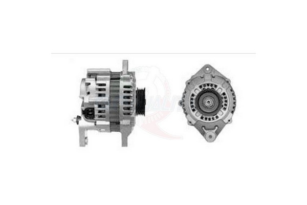 ALGE01267