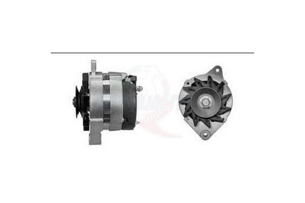 ALGE00547
