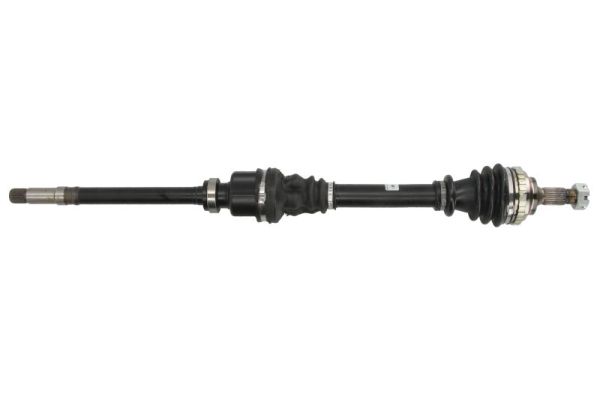 PNG71091