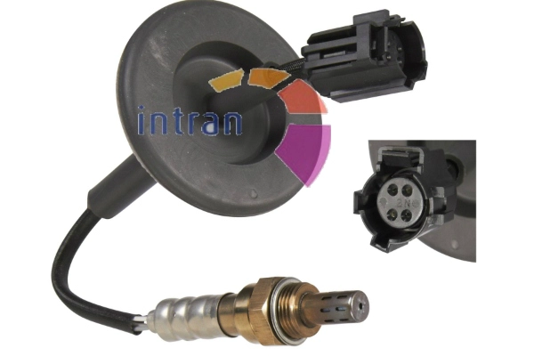 SD24081