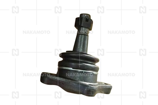 C01-MAZ-21030009