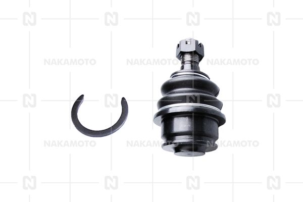 C01-TOY-18010066