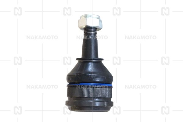 C01-MAZ-21030019