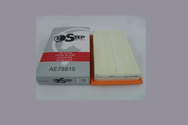 AE79815