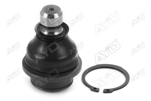545009CD0A-P2