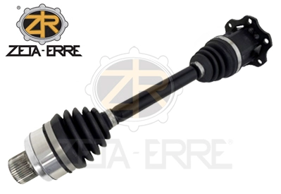 ZR11672
