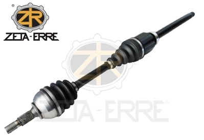 ZR11055