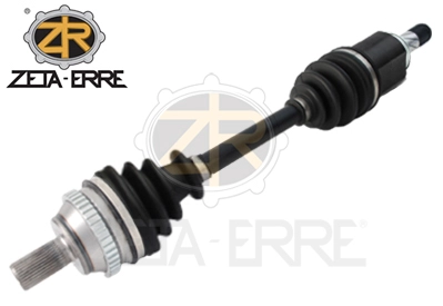 ZR12161