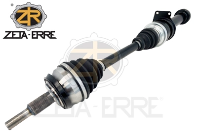ZR11646