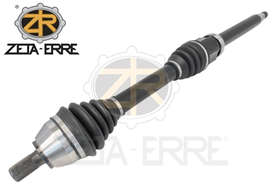 ZR11613