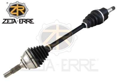 ZR12119