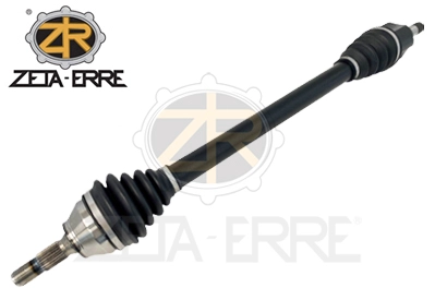 ZR12023