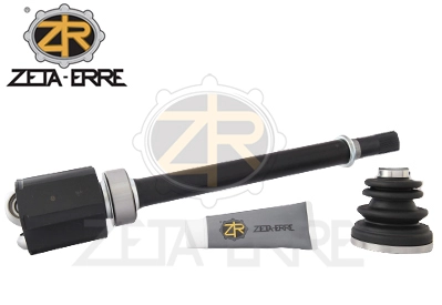 ZR8246